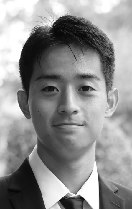 website picture